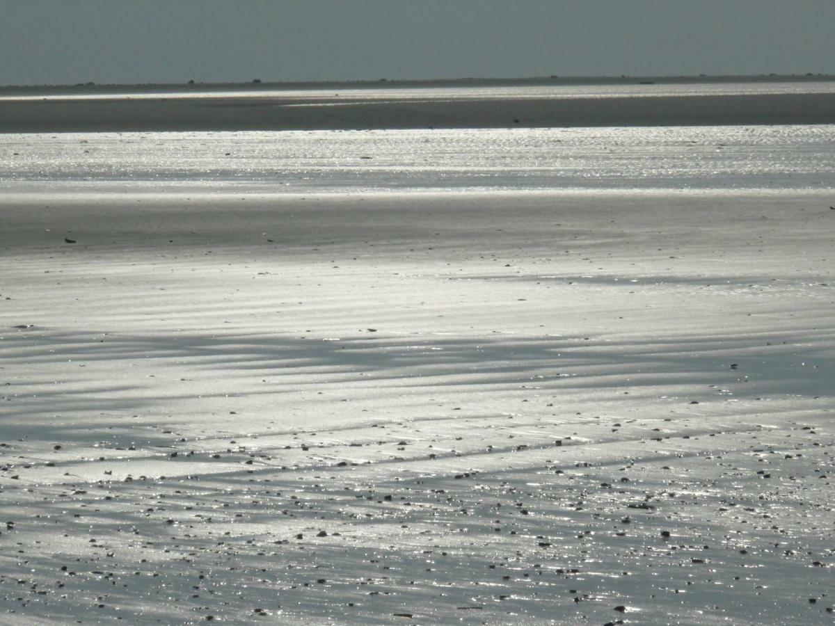 Villa Wad Else Lauwersoog Esterno foto