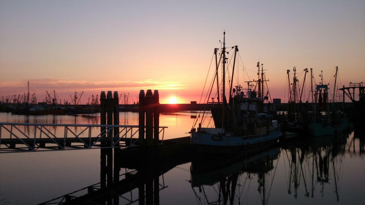 Villa Wad Else Lauwersoog Esterno foto